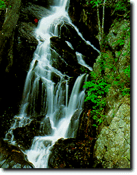 Water Fall