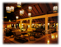 In the Hotel