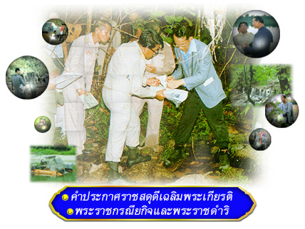 ราชสดุดีเฉลิมพระเกียรติสาขาการจัดการทรัพยากร