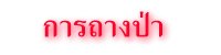 การถางป่า