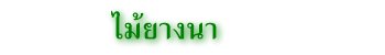 ไม้ยางนา