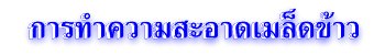 การทำความสะอาดเมล็ดข้าว
