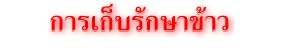 การเก็บรักษาข้าว