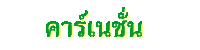 คาร์เนชั่น
