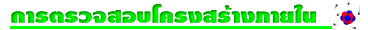 การ<wbr>ตรวจ<wbr>สอบ<wbr>โครง<wbr>สร้าง<wbr>ภาย<wbr>ใน