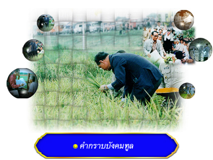 ราชสดุดีเฉลิมพระเกียรติสาขาเกษตร