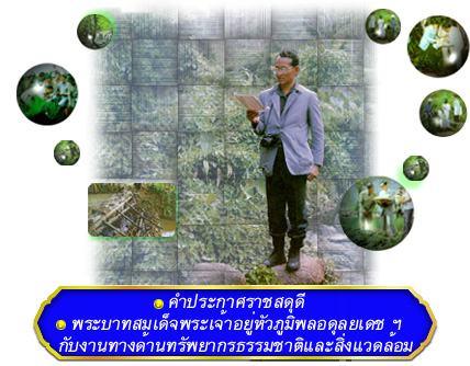 ราชสดุดีเฉลิมพระเกียรติสาขาเศรษฐศาสตร์ทรัพยากรธรรมชาติและสิ่งแวดล้อม