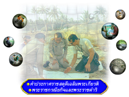 ราชสดุดีเฉลิมพระเกียรติสาขาปฐพีวิทยา