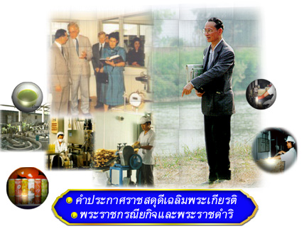 ราชสดุดีเฉลิมพระเกียรติสาขาบริหารธุรกิจ