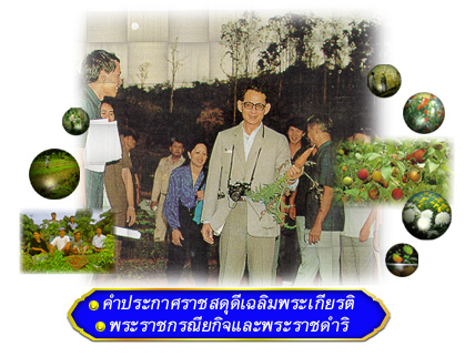 ราชสดุดีเฉลิมพระเกียรติสาขาพฤกษ์เศรษฐกิจ