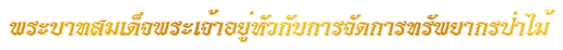 พระ<wbr>บาท<wbr>สมเด็จ<wbr>พระ<wbr>เจ้า<wbr>อยู่<wbr>หัวกับการ<wbr>จัด<wbr>การ<wbr>ทรัพยากร<wbr>ป่า<wbr>ไม้ 