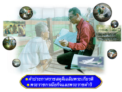 ราชสดุดีเฉลิมพระเกียรติสาขาพัฒนาสังคม