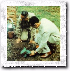 ป่าไม้สาธิต