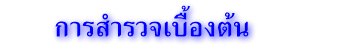 การสำรวจเบื้องต้น