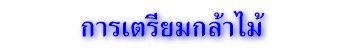 การเตรียมกล้าไม้