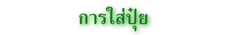 การใส่ปุ๋ย