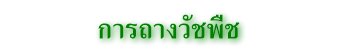 การถางวัชพืช