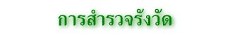 การสำรวจรังวัด