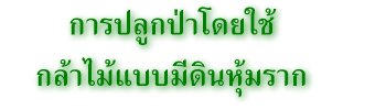 การปลูกป่าโดยใช้กล้าไม้แบบมีดินหุ้มราก