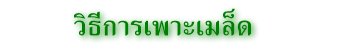 วิธีการเพาะเมล็ด