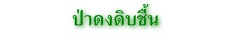 ป่าดงดิบชื้น