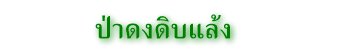 ป่าดงดิบแล้ง