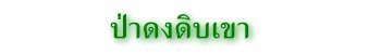 ป่าดงดิบเขา