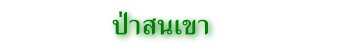 ป่าสนเขา