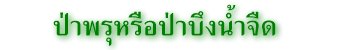 ป่าพรุหรือป่าบึงน้ำจืด