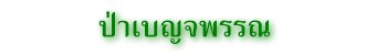 ป่าเบญจพรรณ