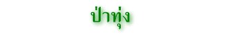 ป่าทุ่ง