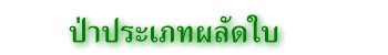ป่าประเภทผลัดใบ
