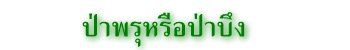ป่าพรุหรือป่าบึง