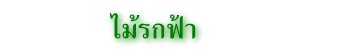 ไม้รกฟ้า