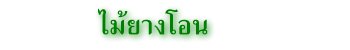 ไม้ยางโอน
