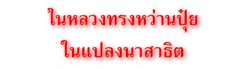 ในหลวงทรงหว่านปุ๋ยในแปลงนาสาธิต