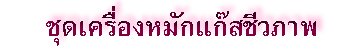 ชุดเครื่องหมักแก๊สชีวภาพ