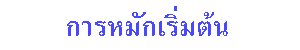 การหมักเริ่มต้น