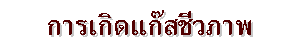 การเกิดแก๊สชีวภาพ