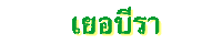 เยอบีรา