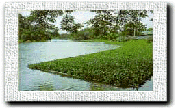 โครงการบำบัดน้ำเสีย