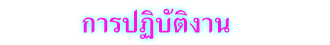 การปฏิบัติงาน