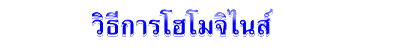วิธีการโฮโมจิไนส์