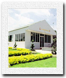 ศูนย์รวมนม