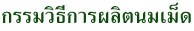 กรรมวิธีการผลิต