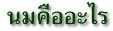 นมคืออะไร