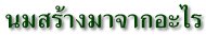 นมสร้างมาจากอะไร