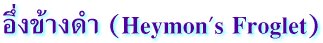อึ่งข้างดำ (Heymon's Froglet)
