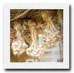 กระเทียม<wbr 