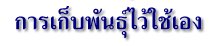 การเก็บพันธุ์ไว้ใช้เอง